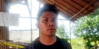 Kayu Illegal Logging Berhasil Diamankan Polres Kabupaten Mempawah