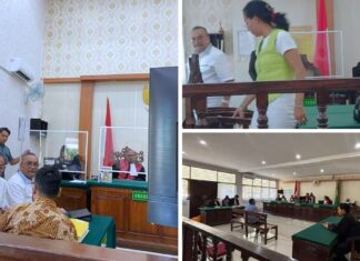 Vonis Togar Situmorang: Babak Baru Pertaruhan Hak Imunitas Advokat.